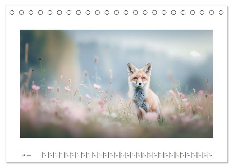 Produktbild: Naturparadies Wald (Tischkalender 2026 DIN A5 quer), CALVENDO Monatskalender