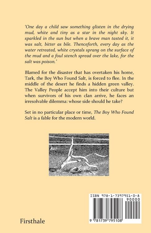 Produktbild: The Boy Who Found Salt