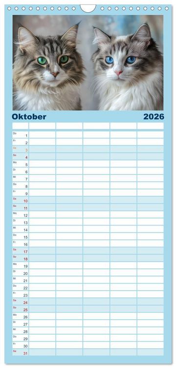 Produktbild: Familienplaner 2026 - Katzen Illustrationen - Faszination pur mit 5 Spalten (Wandkalender, 21 x 45 cm) CALVENDO