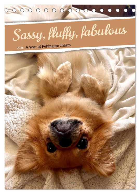 Produktbild: Sassy, fluffy, fabulous &ndash; A year of Pekingese charm (Desk Calendar 2026 DIN A5 portrait), CALVENDO 12 Month DeskCalendar