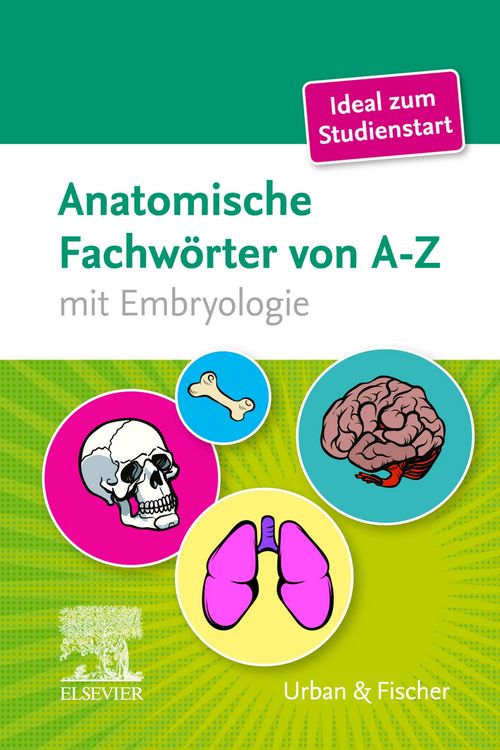Produktbild: Anatomische Fachw&ouml;rter von A-Z