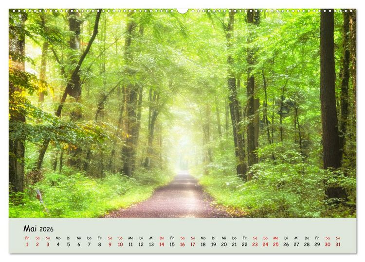 Produktbild: Waldbaden - Durch Achtsamkeit zu einer besseren Gesundheit (Wandkalender 2026 DIN A2 quer), CALVENDO Monatskalender