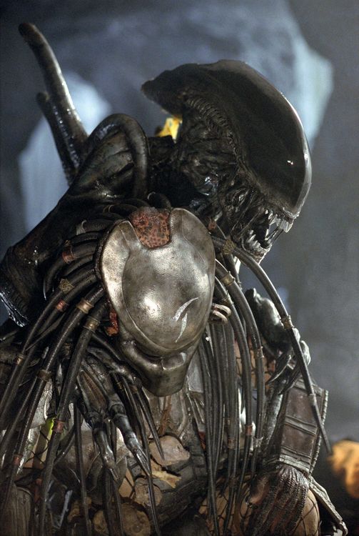 Produktbild: Alien vs. Predator