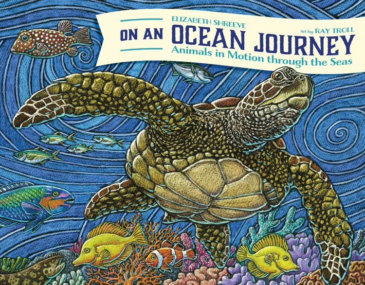 Produktbild: On an Ocean Journey