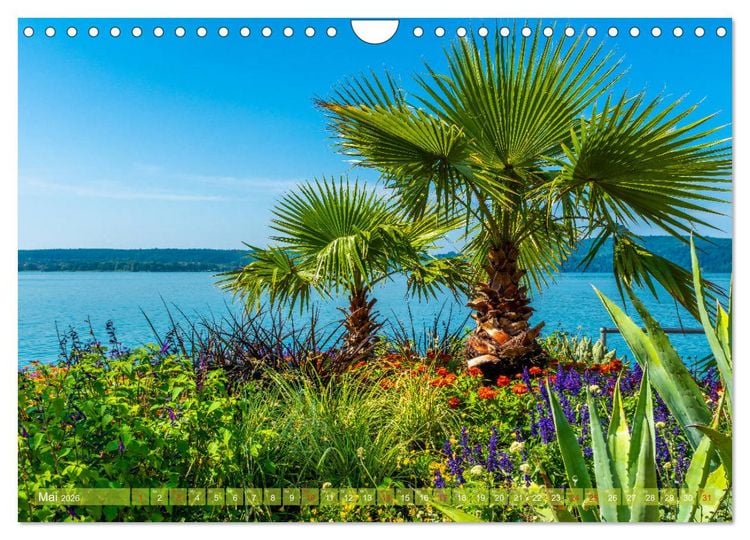 Produktbild: Farbenfroh Bodensee (Wandkalender 2026 DIN A4 quer), CALVENDO Monatskalender