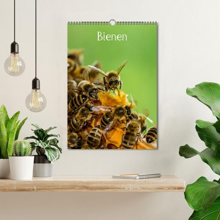 Produktbild: Bienen (Wandkalender 2026 DIN A3 hoch), CALVENDO Monatskalender