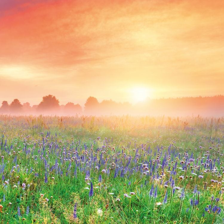 Produktbild: Die Sonne geht auf / Sunrise 2027