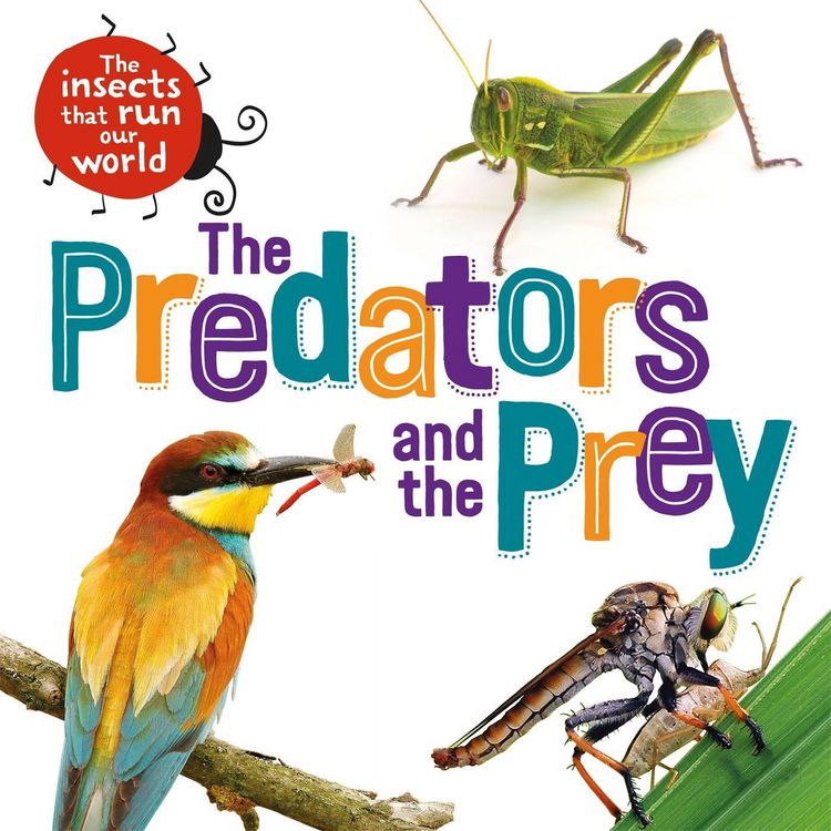 Produktbild: The Insects that Run Our World: The Predators and The Prey