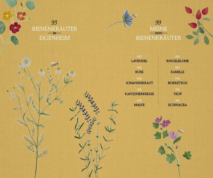 Produktbild: Fr&auml;ulein Gr&uuml;ns Bienenapotheke