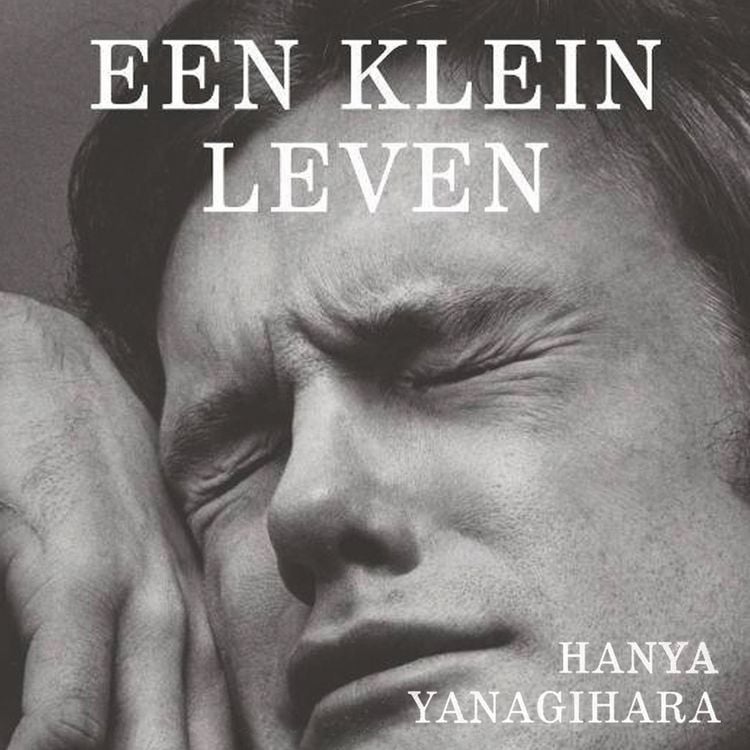 Produktbild: Een klein leven