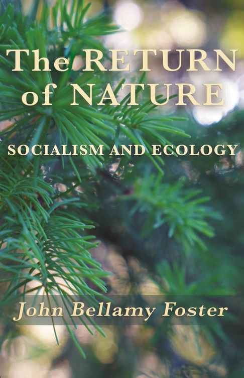 Produktbild: The Return of Nature
