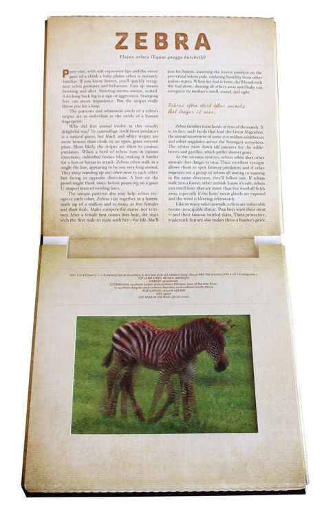 Produktbild: Safari