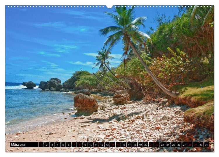 Produktbild: Barbados (hochwertiger Premium Wandkalender 2026 DIN A2 quer), Kunstdruck in Hochglanz