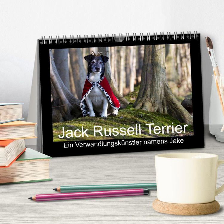 Produktbild: Jack Russell Terrier.....Ein Verwandlungsk&uuml;nstler namens Jake (Tischkalender 2026 DIN A5 quer), CALVENDO Monatskalender