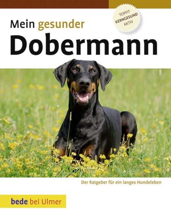 Produktbild: Mein gesunder Dobermann