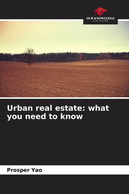 Produktbild: Urban real estate: what you need to know