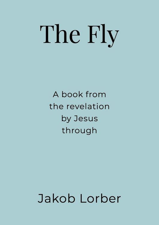 Produktbild: The Fly