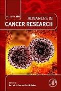 Produktbild: Advances in Cancer Research: Volume 160