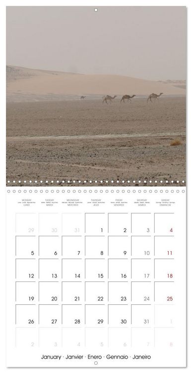 Produktbild: Desert - unknown exciting (Wall Calendar 2026 12 &times; 12 Inch) CALVENDO 12 Month Wall Calendar