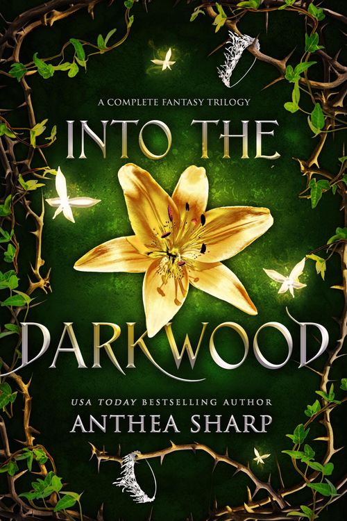 Produktbild: Into the Darkwood
