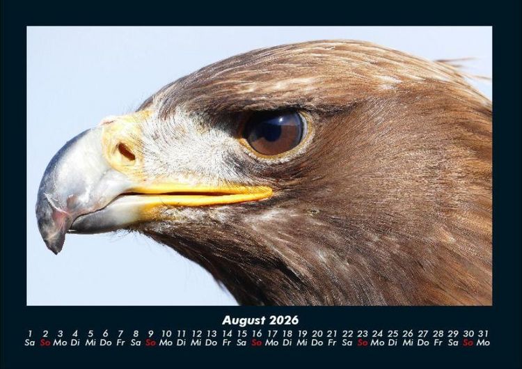Produktbild: Vogelparadies 2026 Fotokalender DIN A4