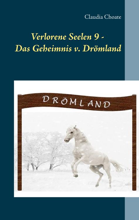 Produktbild: Verlorene Seelen 9 - Das Geheimnis von Dr&ouml;mland