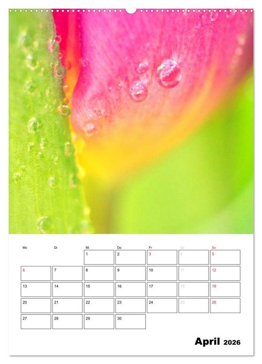 Produktbild: Zauberhafte Bl&uuml;tenwelt / Planer (hochwertiger Premium Wandkalender 2026 DIN A2 hoch), Kunstdruck in Hochglanz
