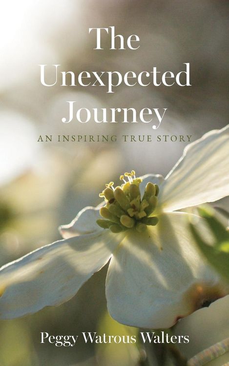 Produktbild: The Unexpected Journey