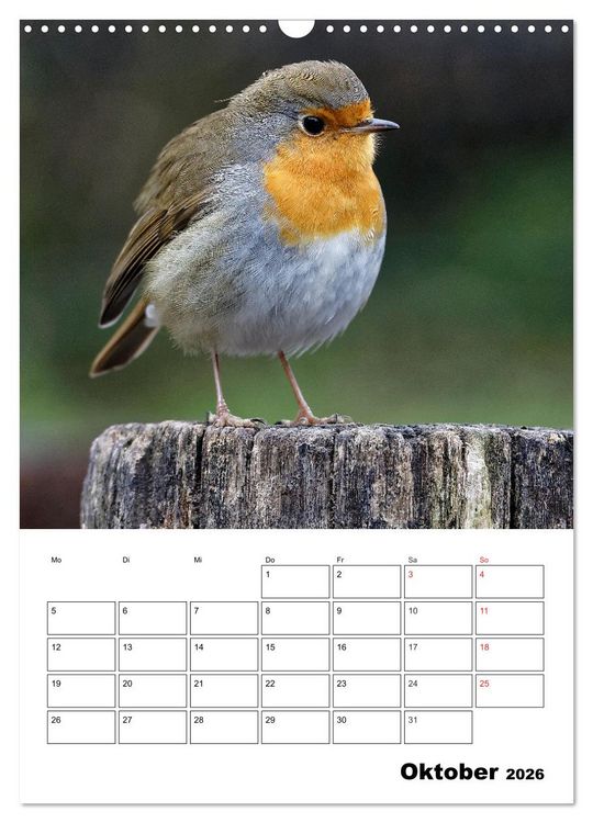 Produktbild: Bezaubernde V&ouml;gel im heimischen Garten (Wandkalender 2026 DIN A3 hoch), CALVENDO Monatskalender