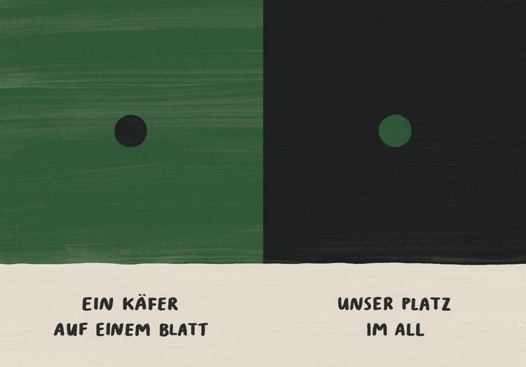 Produktbild: Das Leben in einem Kreis