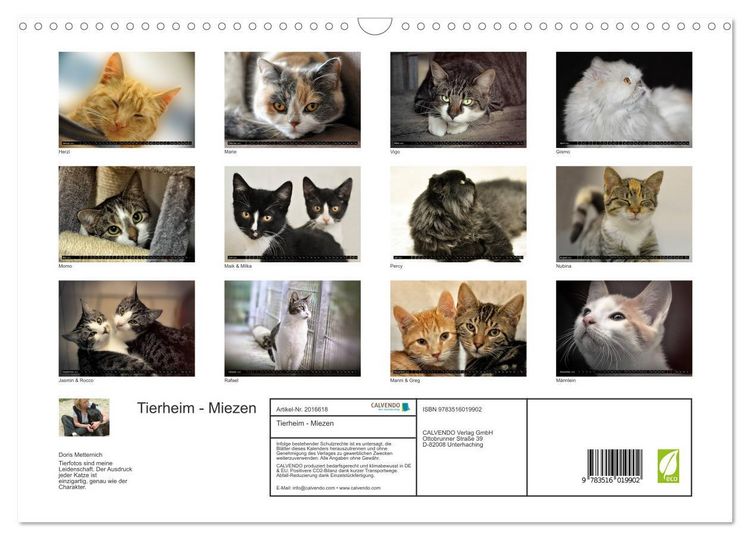 Produktbild: Tierheim - Miezen (Wandkalender 2026 DIN A3 quer), CALVENDO Monatskalender