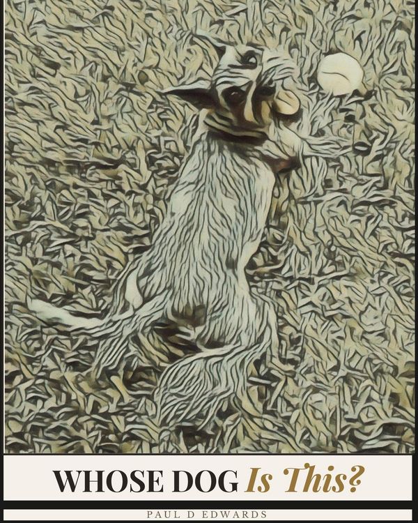 Produktbild: Whose Dog Is This?