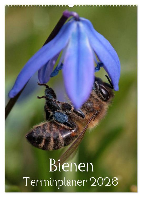 Produktbild: Bienen-Terminplaner 2026 (Wandkalender 2026 DIN A2 hoch), CALVENDO Monatskalender