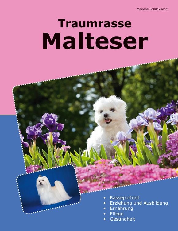 Produktbild: Traumrasse Malteser