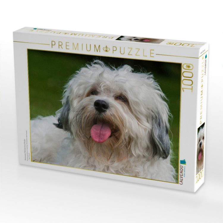 Produktbild: CALVENDO Puzzle Havaneser Portr&auml;t eines R&uuml;den | 1000 Teile Lege-Gr&ouml;&szlig;e 64x48cm Foto-Puzzle f&uuml;r gl&uuml;ckliche Stunden