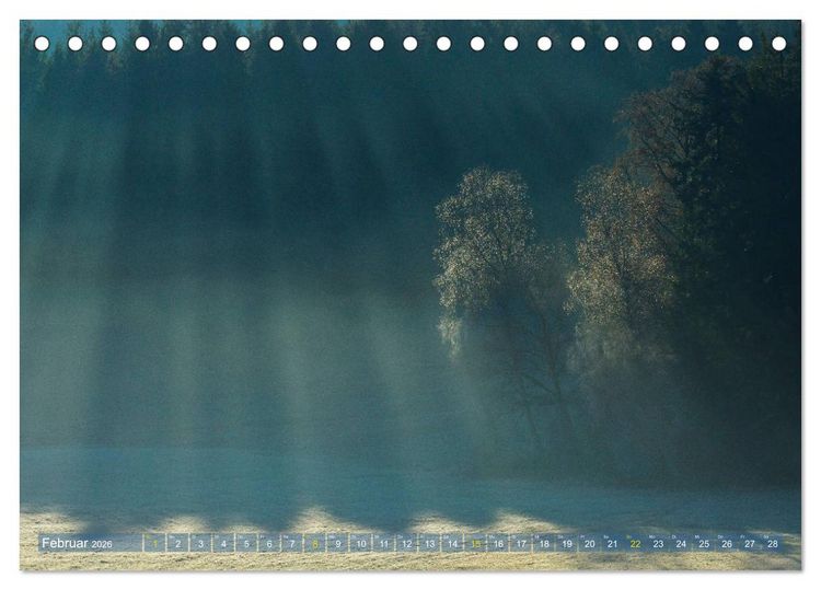 Produktbild: Spaziergang im Wald (Tischkalender 2026 DIN A5 quer), CALVENDO Monatskalender