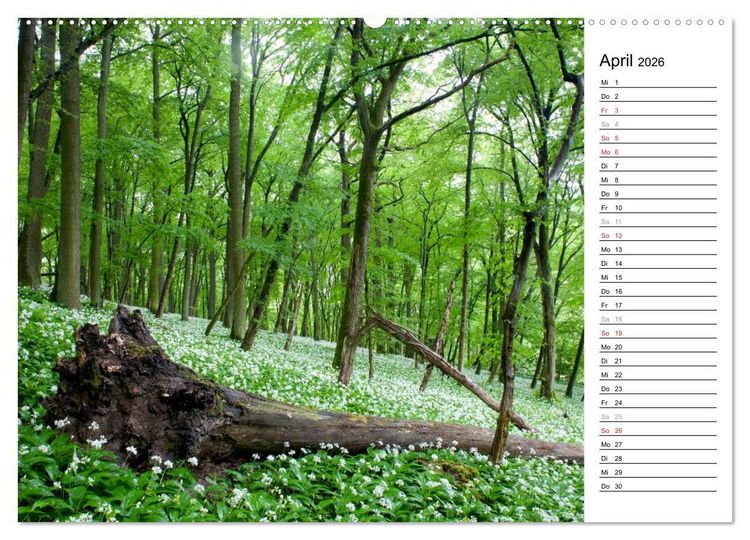 Produktbild: DER STEIGERWALD - Impressionen einer Landschaft (hochwertiger Premium Wandkalender 2026 DIN A2 quer), Kunstdruck in Hochglanz