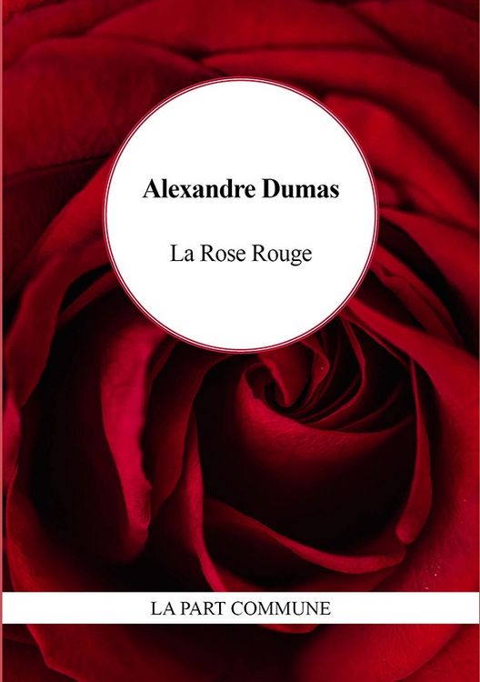 Produktbild: Rose rouge