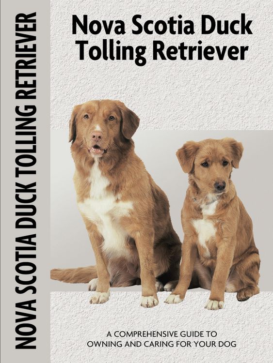 Produktbild: Nova Scotia Duck Tolling Retriever(Comprehensive Owner's Guide)