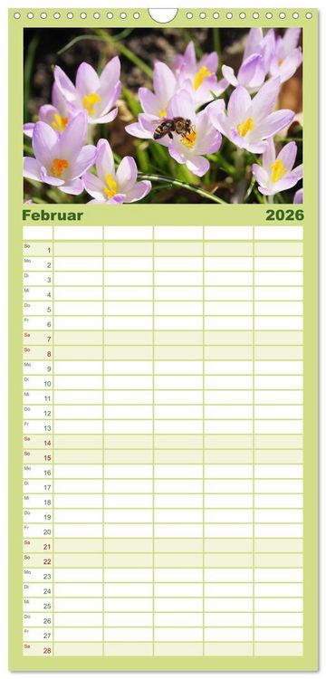 Produktbild: Familienplaner 2026 - Sanfte Natur mit 5 Spalten (Wandkalender, 21 x 45 cm) CALVENDO