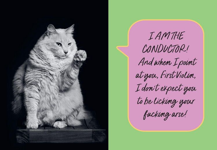Produktbild: Sweary Cats