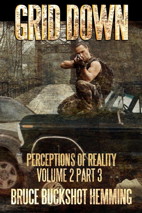 Produktbild: Grid Down Perceptions of Reality (part 3, #2)