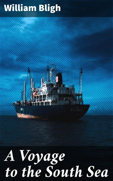 Produktbild: A Voyage to the South Sea