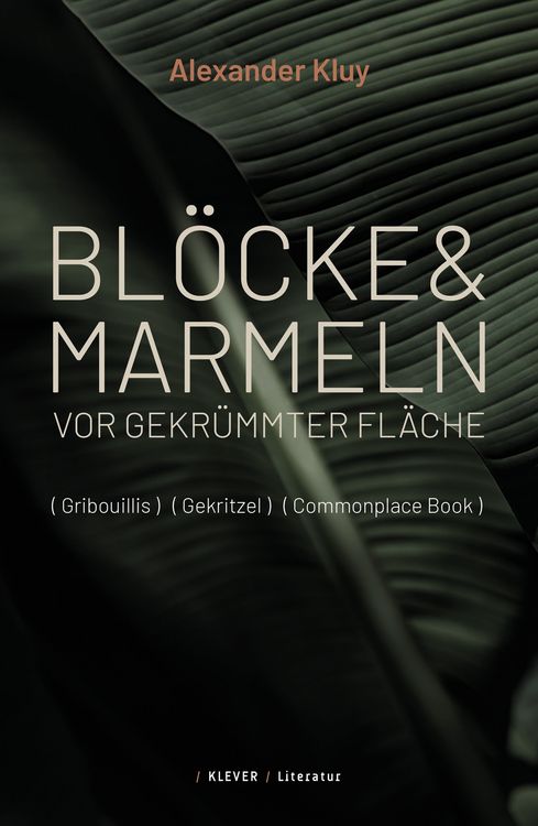 Produktbild: Bl&ouml;cke und Marmeln vor gekr&uuml;mmter Fl&auml;che