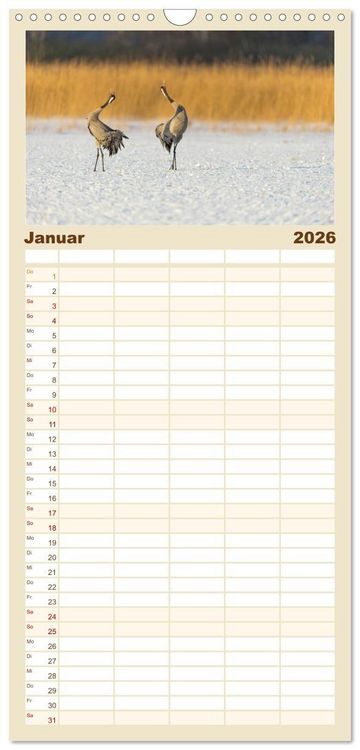 Produktbild: Familienplaner 2026 - Mit Kranichen durch das Jahr mit 5 Spalten (Wandkalender, 21 x 45 cm) CALVENDO