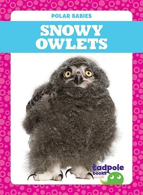 Produktbild: Snowy Owlets