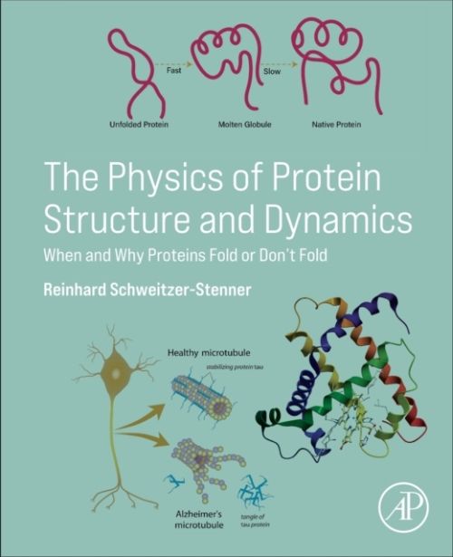 Produktbild: Schweitzer-Stenner, R: Physics of Protein Structure and Dyna
