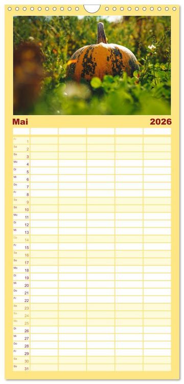 Produktbild: Familienplaner 2026 - K&Uuml;RBIS KALENDER - Die sch&ouml;nsten K&uuml;rbisse des Jahres mit 5 Spalten (Wandkalender, 21 x 45 cm) CALVENDO