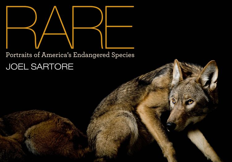 Produktbild: Rare