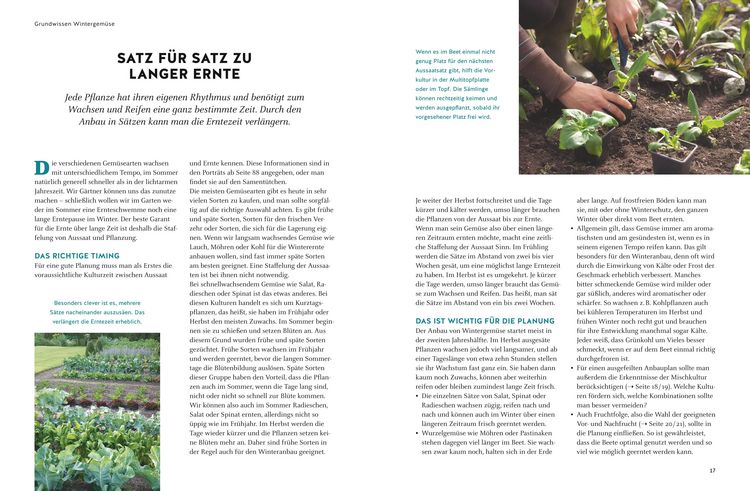 Produktbild: Wintergem&uuml;se anbauen
